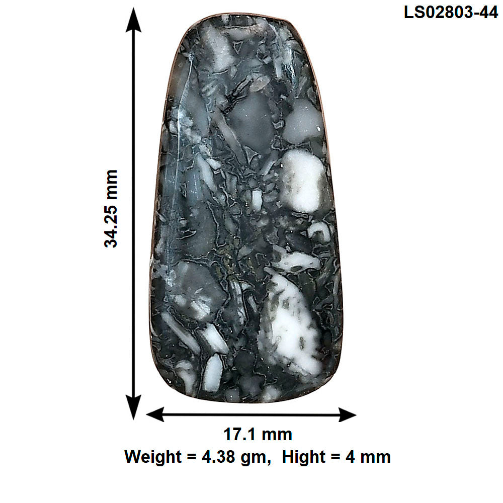 Orthoceras 34.25x17.1x4 mm Fancy Gemstone LS02803-44