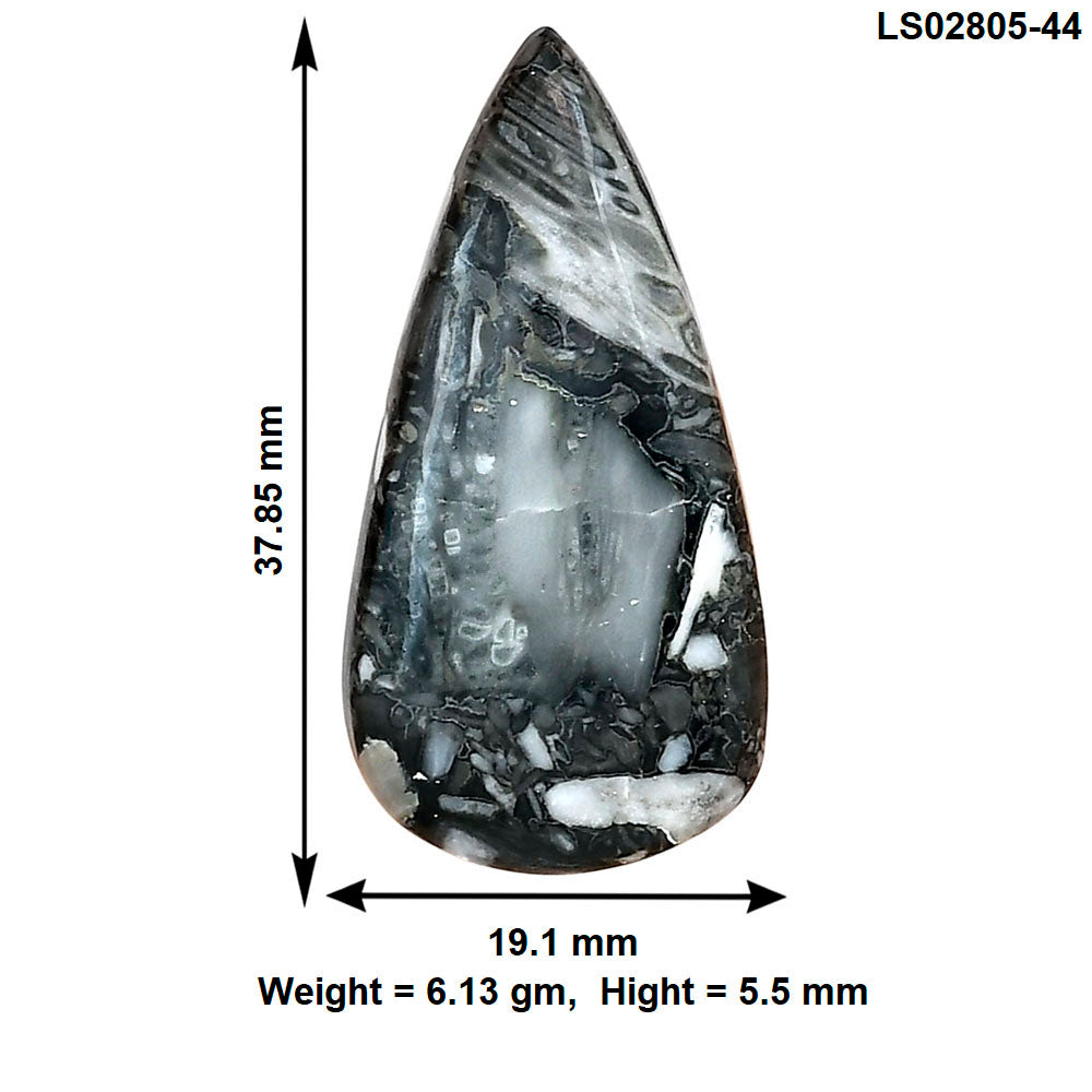 Orthoceras 37.85x19.1x5.5 mm Pear Gemstone LS02805-44