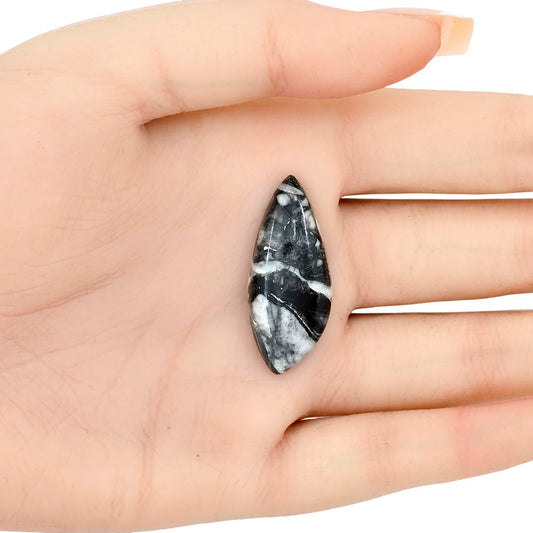 Orthoceras 34x14.35x5.5 mm Fancy Gemstone LS02807-44