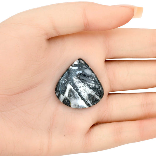 Orthoceras 29.6x28.8x5 mm Heart Gemstone LS02810-44