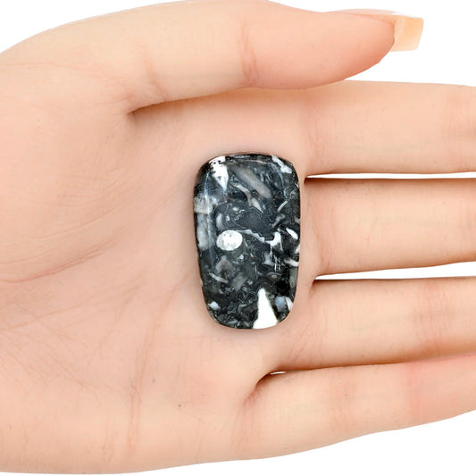 Orthoceras 34x20.8x5.5 mm Fancy Gemstone LS02811-44