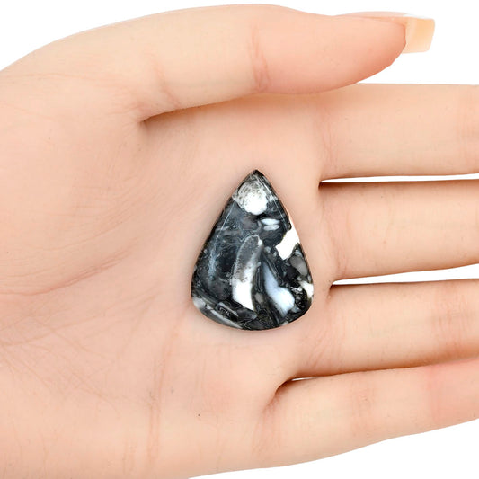 Orthoceras 30.8x23.45x4 mm Pear Gemstone LS02815-44