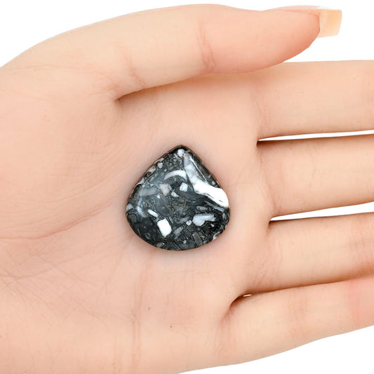 Orthoceras 26x25.6x5 mm Heart Gemstone LS02817-44
