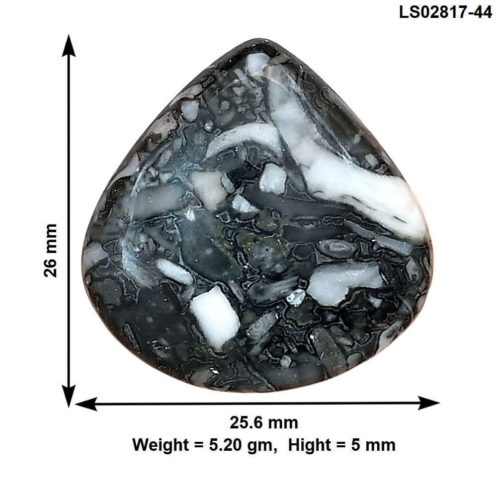 Orthoceras 26x25.6x5 mm Heart Gemstone LS02817-44