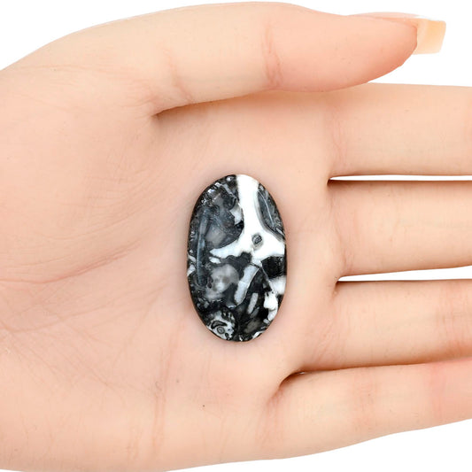 Orthoceras 32.5x19.6x4.5 mm Oval Gemstone LS02818-44