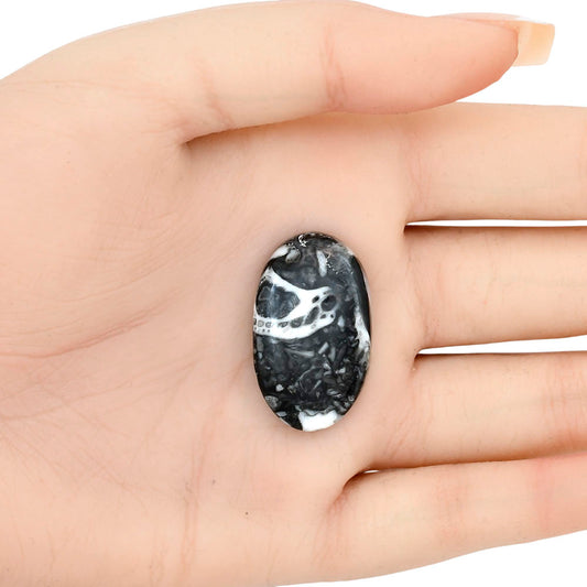 Orthoceras 30.25x18.25x6 mm Oval Gemstone LS02819-44