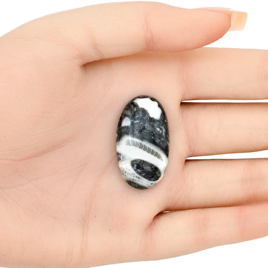 Orthoceras 32.1x18.35x6 mm Oval Gemstone LS02820-44