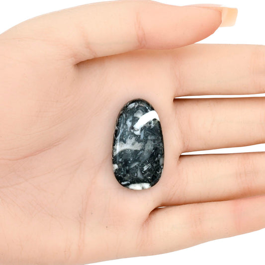 Orthoceras 31.55x18.35x5 mm Fancy Gemstone LS02823-44