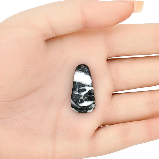 Orthoceras 27.45x14x5 mm Fancy Gemstone LS02825-44