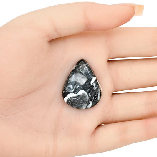 Orthoceras 29.65x23.1x6.5 mm Pear Gemstone LS02826-44