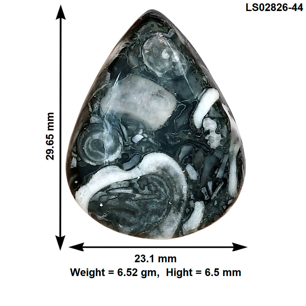 Orthoceras 29.65x23.1x6.5 mm Pear Gemstone LS02826-44