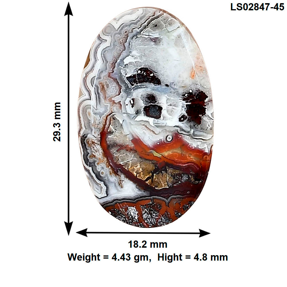 Laguna Lace Agate 29.3x18.2x4.8 mm Oval Gemstone LS02847-45