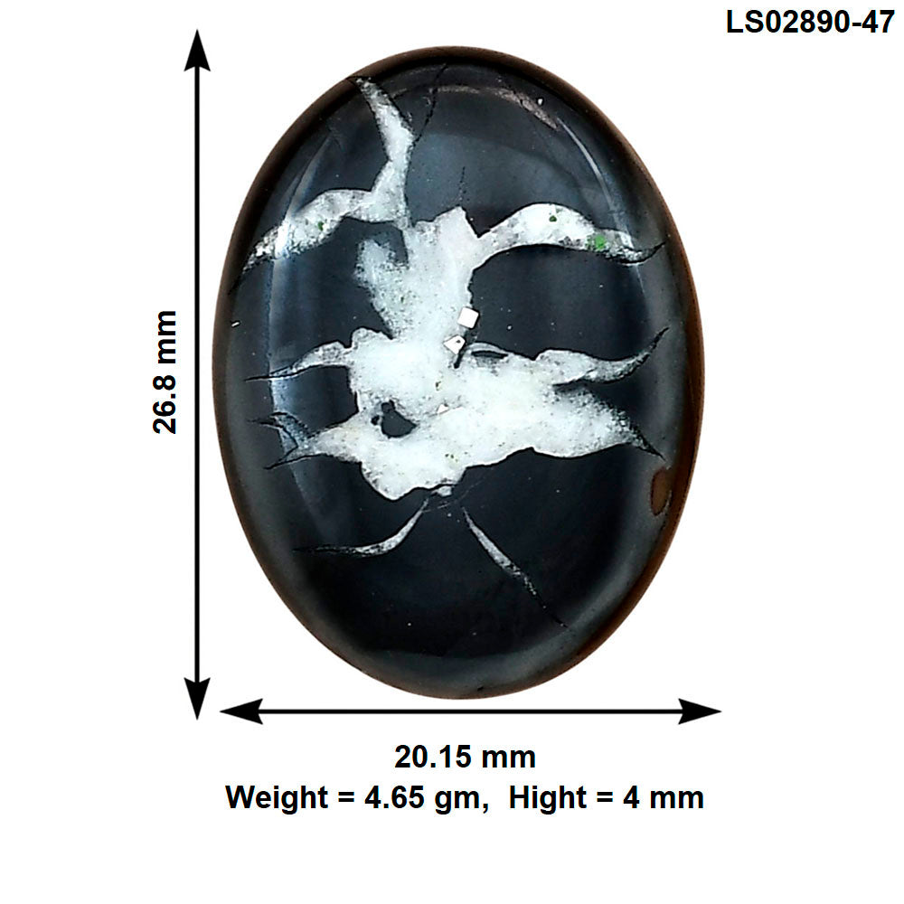 Black Septarian 26.8x20.15x4 mm Oval Gemstone LS02890-47