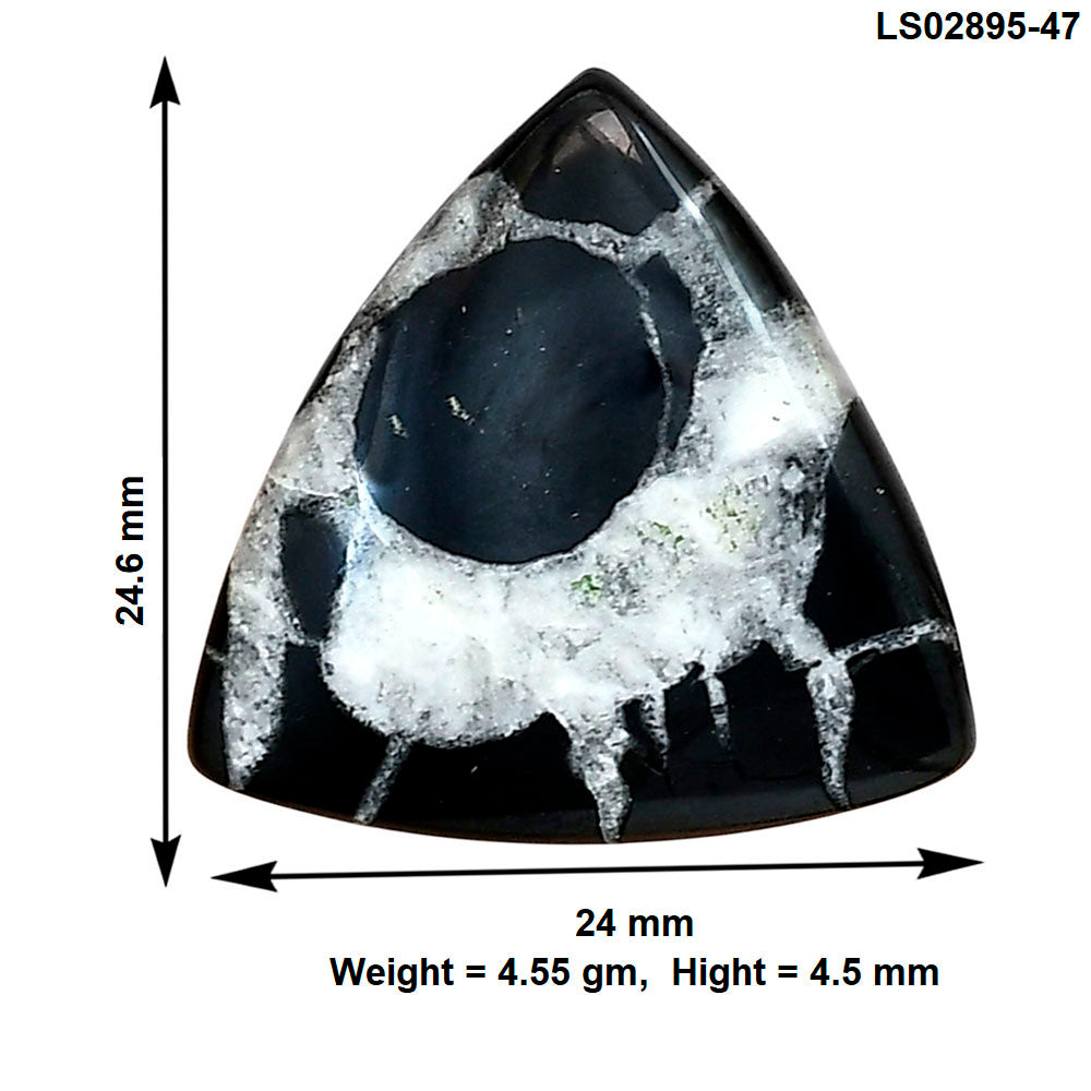 Black Septarian 24.6x24x4.5 mm Fancy Gemstone LS02895-47