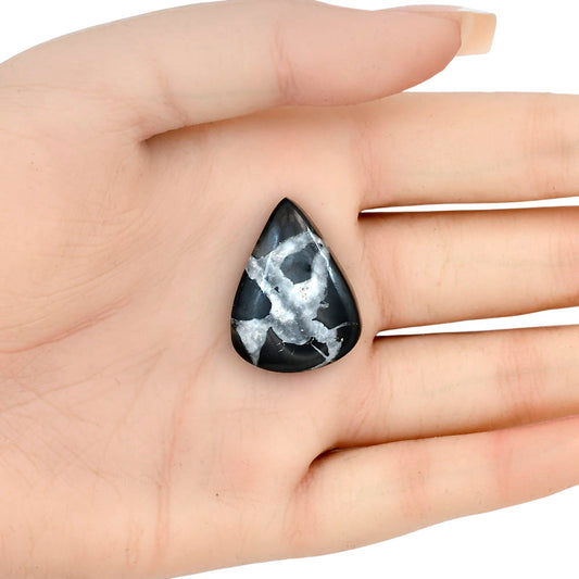 Black Septarian 27.6x20.7x6 mm Pear Gemstone LS02900-47