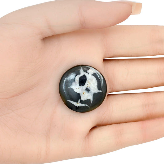 Black Septarian 26.7x26.7x5 mm Round Gemstone LS02912-47