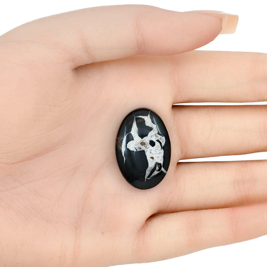 Black Septarian 28x19.3x6.4 mm Oval Gemstone LS02917-47