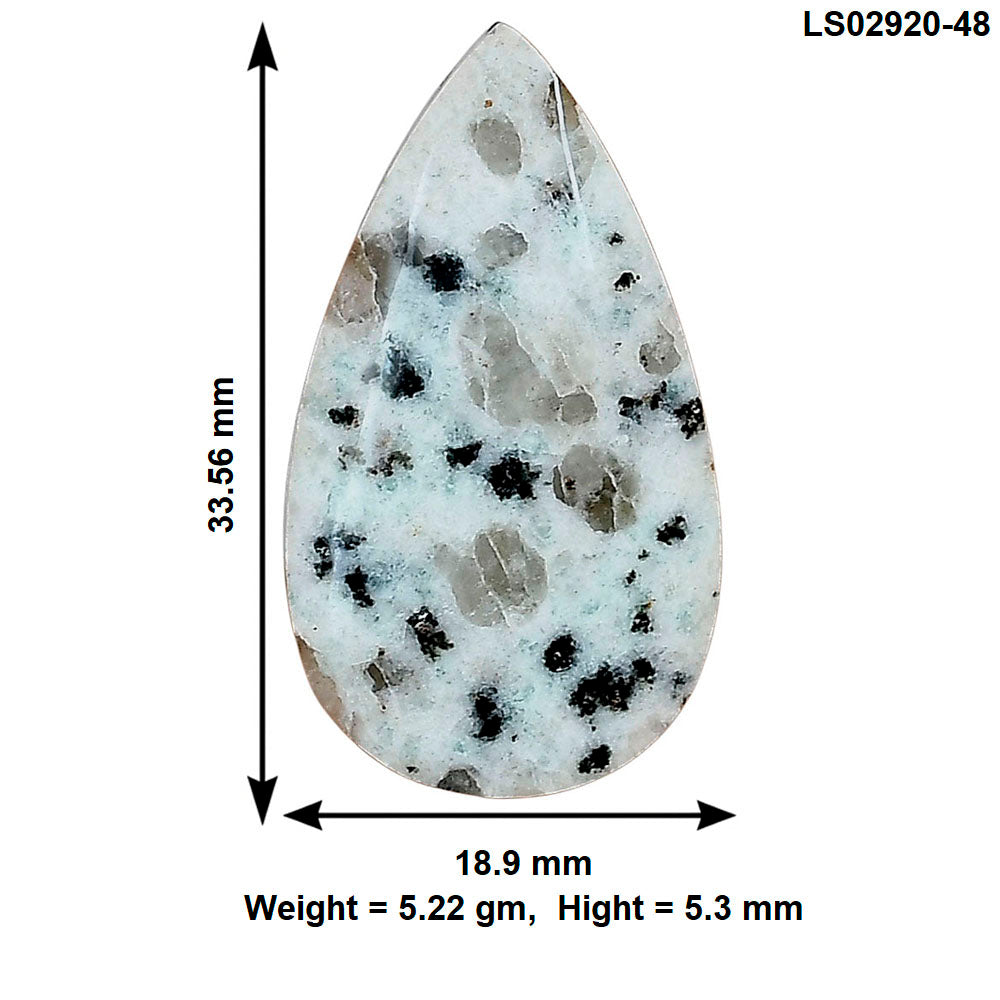 Sesame Jasper 33.56x18.9x5.3 mm Pear Gemstone LS02920-48