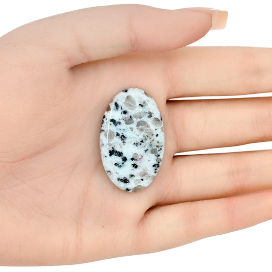 Sesame Jasper 36.82x22.94x5 mm Oval Gemstone LS02923-48