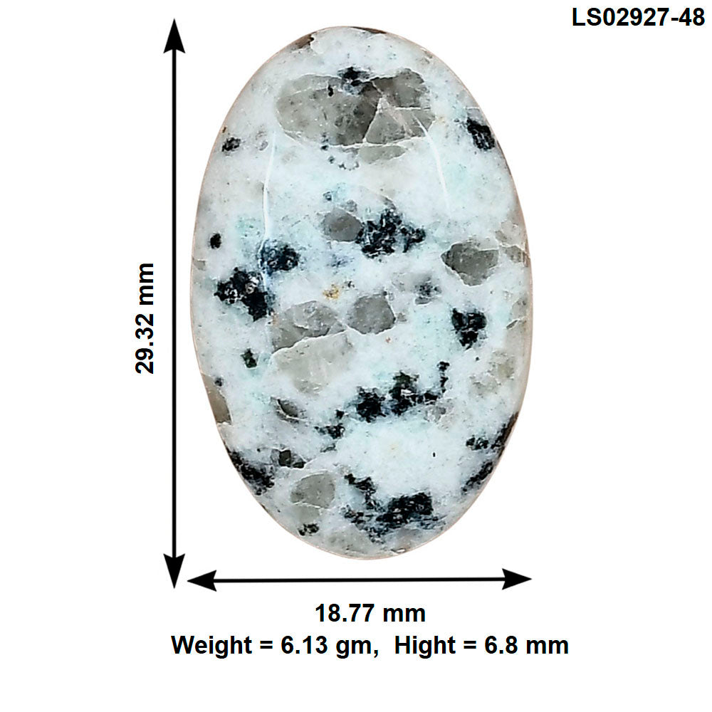Sesame Jasper 29.32x18.77x6.8 mm Oval Gemstone LS02927-48