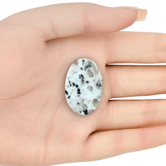 Sesame Jasper 31.81x20.96x4.3 mm Oval Gemstone LS02928-48