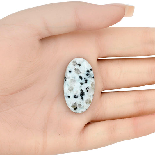 Sesame Jasper 32.54x18.1x5.1 mm Oval Gemstone LS02930-48