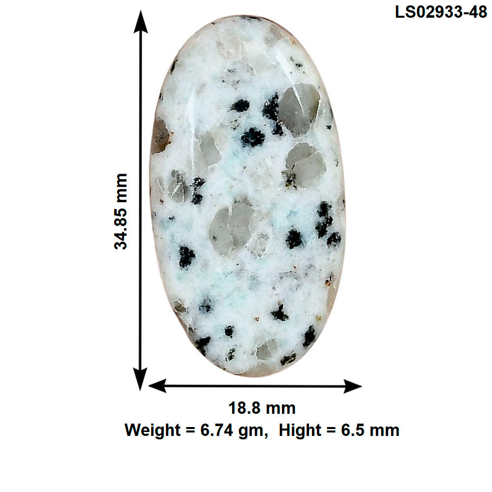 Sesame Jasper 34.85x18.8x6.5 mm Oval Gemstone LS02933-48