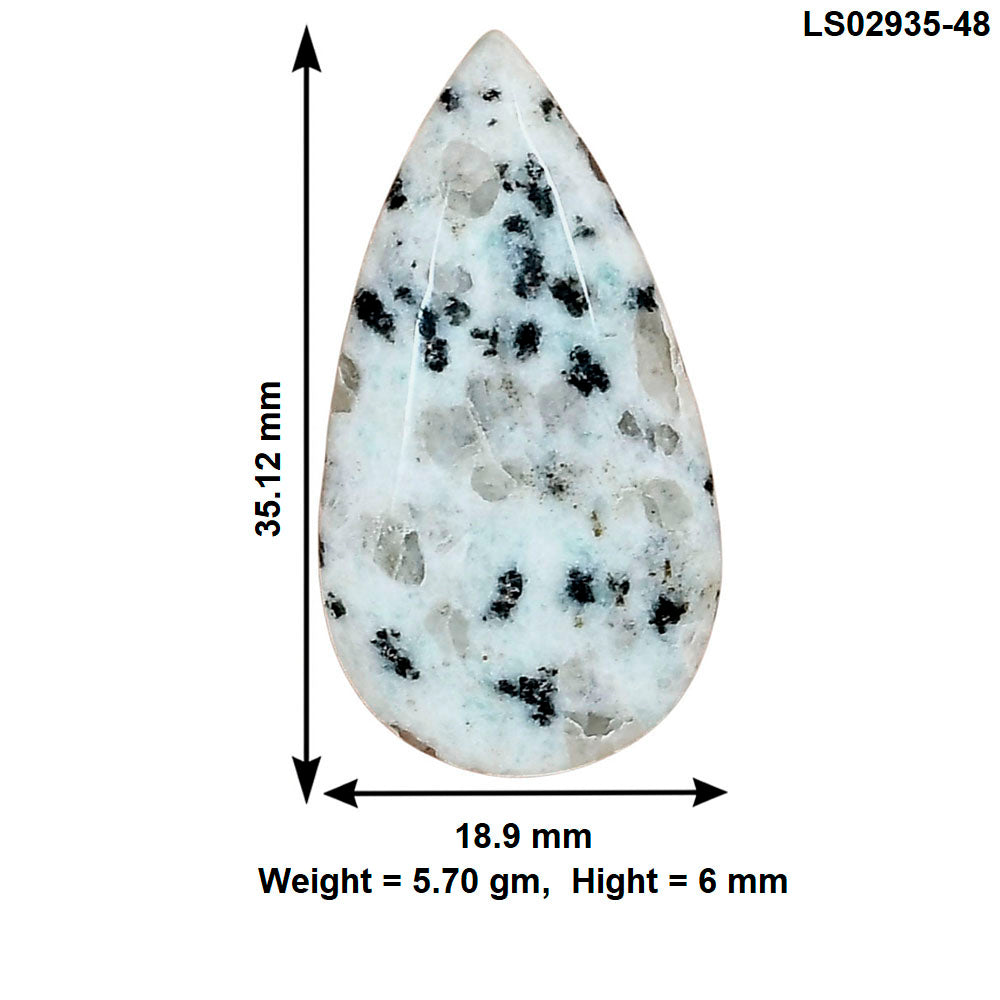 Sesame Jasper 35.12x18.9x6 mm Pear Gemstone LS02935-48