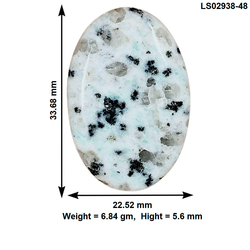 Sesame Jasper 33.68x22.52x5.6 mm Oval Gemstone LS02938-48