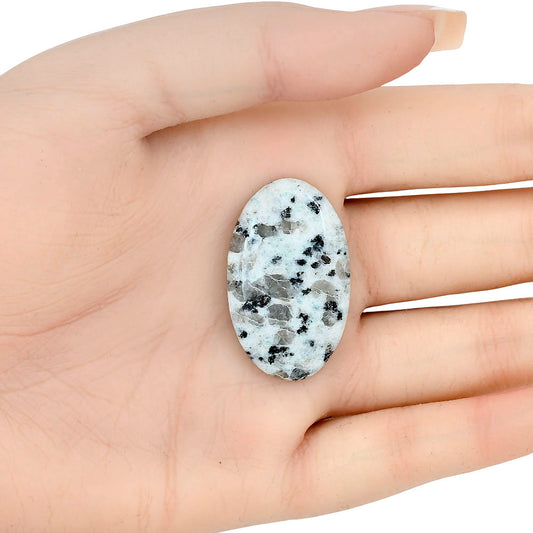 Sesame Jasper 34.44x21.07x5.5 mm Oval Gemstone LS02941-48