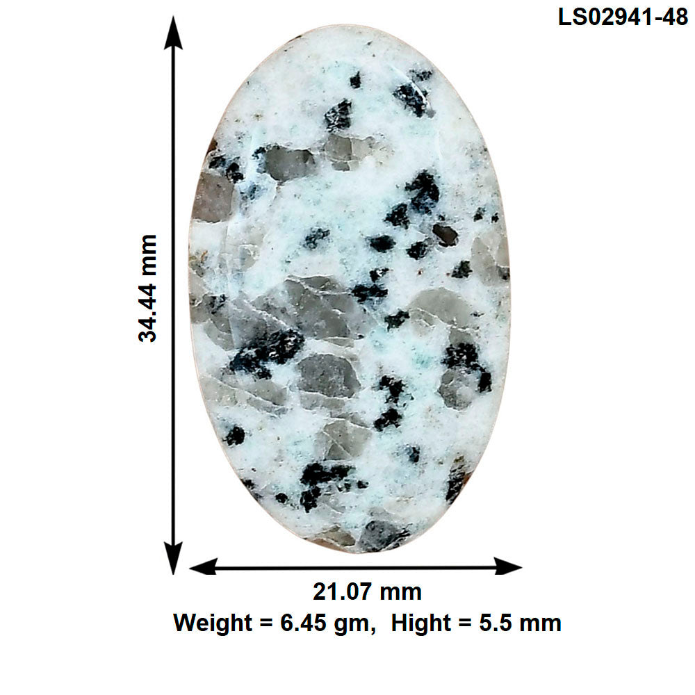 Sesame Jasper 34.44x21.07x5.5 mm Oval Gemstone LS02941-48