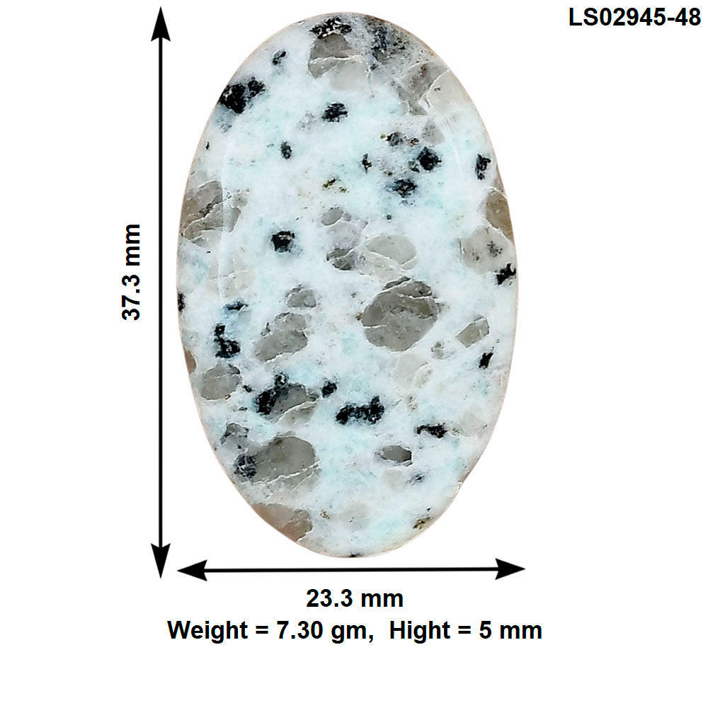 Sesame Jasper 37.3x23.3x5 mm Oval Gemstone LS02945-48