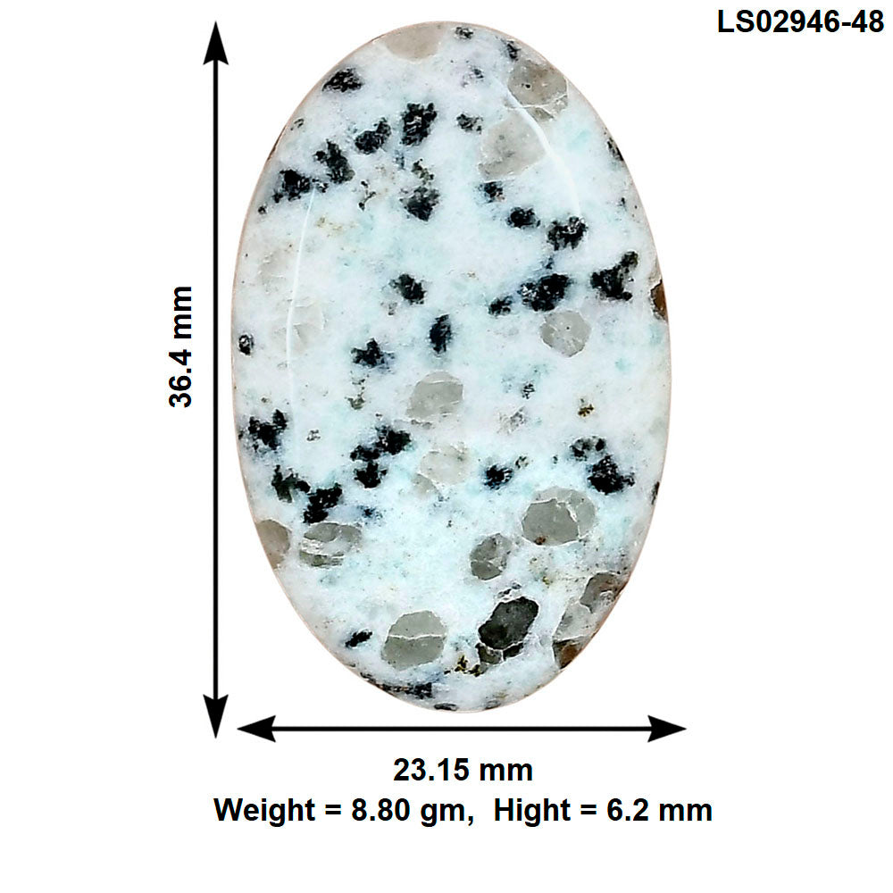 Sesame Jasper 36.4x23.15x6.2 mm Oval Gemstone LS02946-48