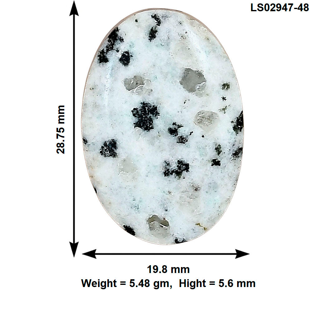 Sesame Jasper 28.75x19.8x5.6 mm Oval Gemstone LS02947-48