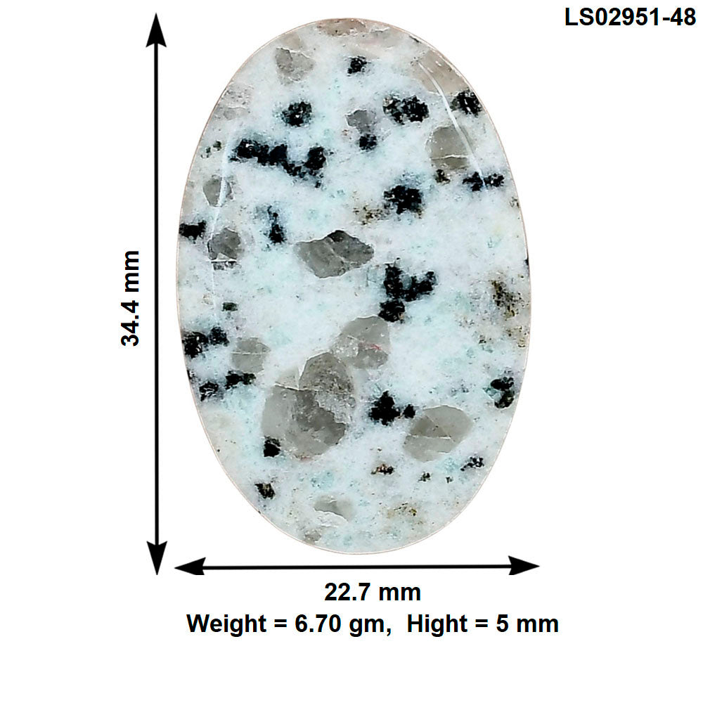 Sesame Jasper 34.4x22.7x5 mm Oval Gemstone LS02951-48