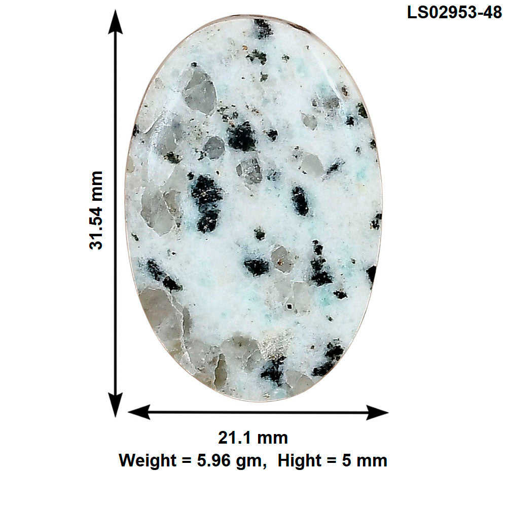 Sesame Jasper 31.54x21.1x5 mm Oval Gemstone LS02953-48