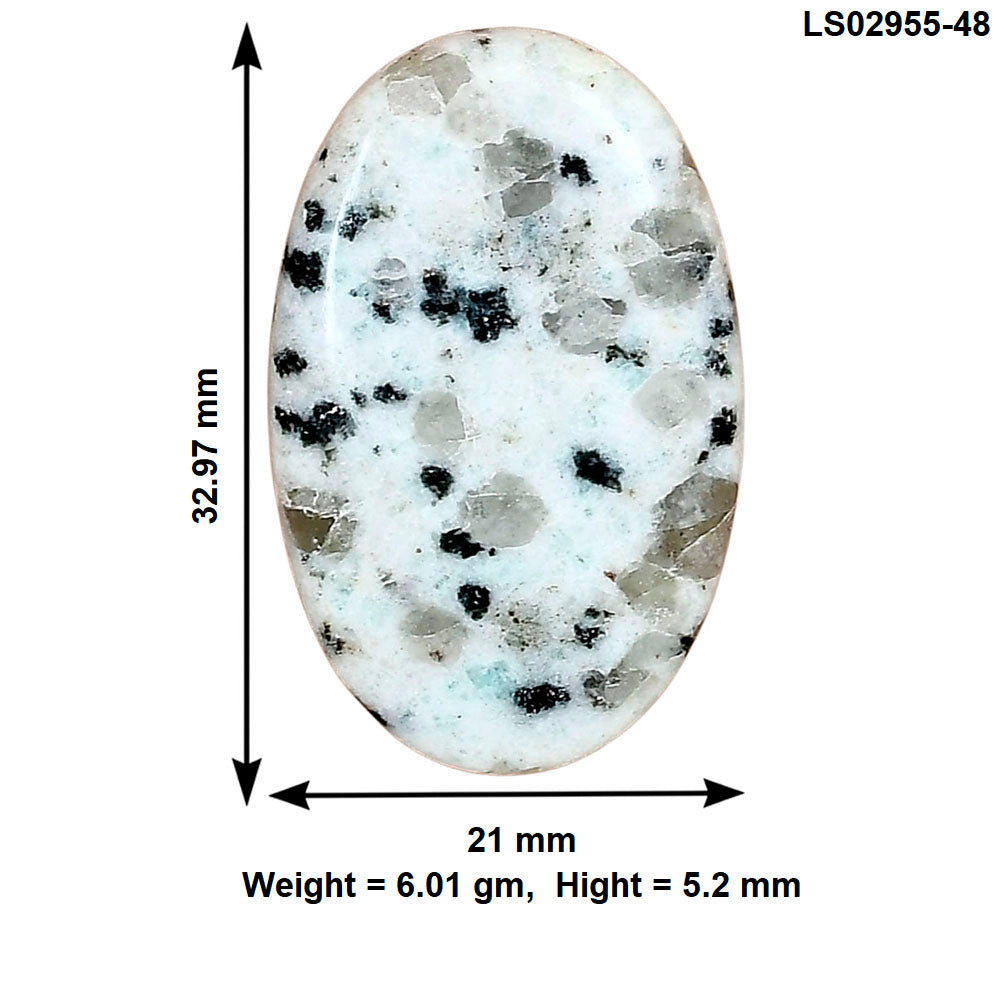 Sesame Jasper 32.97x21x5.2 mm Oval Gemstone LS02955-48