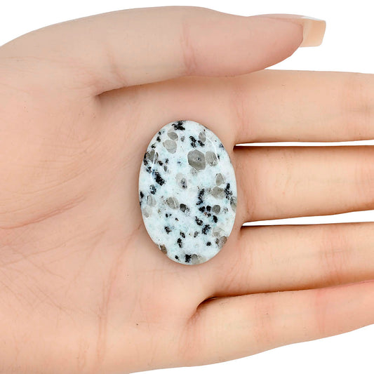 Sesame Jasper 35.5x24x5.5 mm Oval Gemstone LS02956-48
