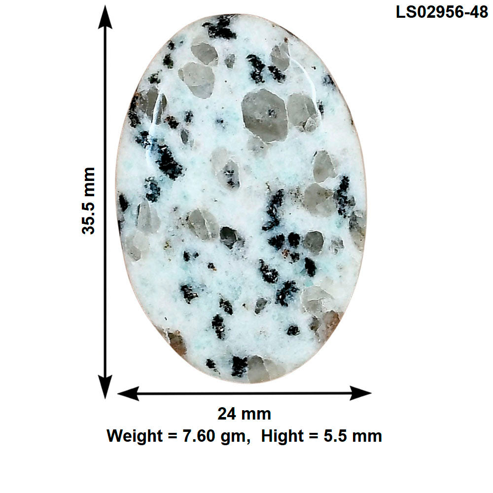 Sesame Jasper 35.5x24x5.5 mm Oval Gemstone LS02956-48