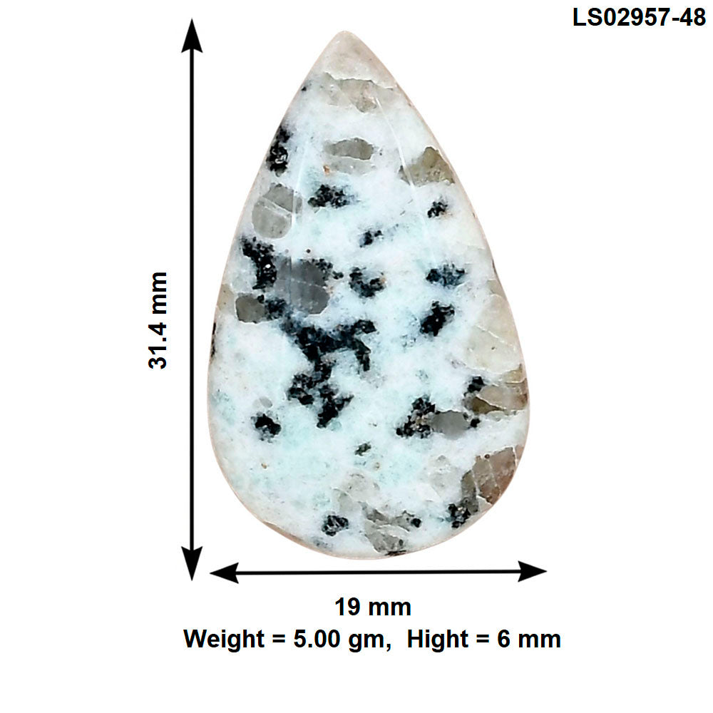 Sesame Jasper 31.4x19x6 mm Pear Gemstone LS02957-48