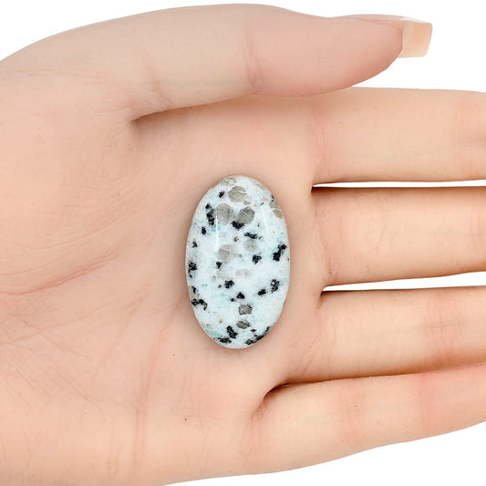 Sesame Jasper 32.57x19.6x7.5 mm Oval Gemstone LS02960-48