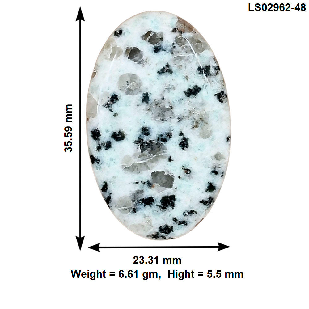 Sesame Jasper 35.59x23.31x5.5 mm Oval Gemstone LS02962-48