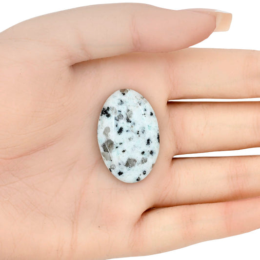 Sesame Jasper 33.02x21.52x6.4 mm Oval Gemstone LS02963-48