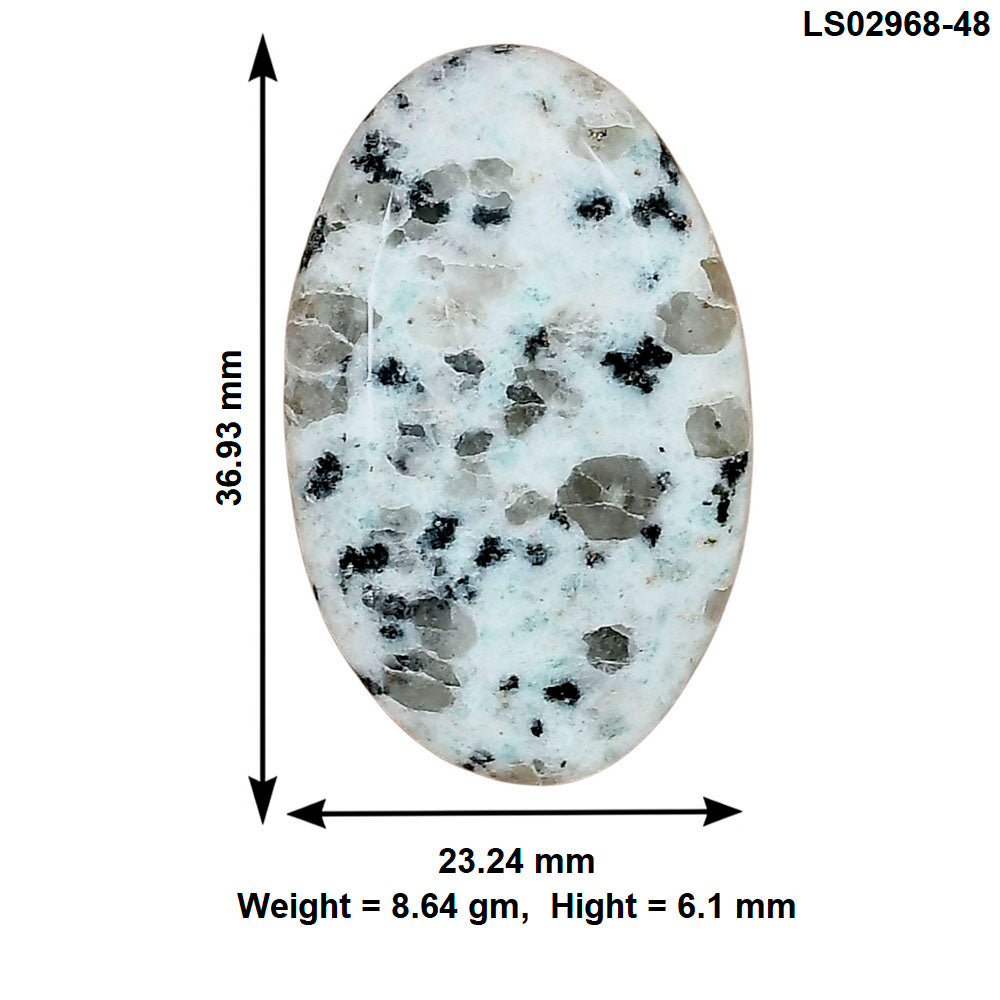 Sesame Jasper 36.93x23.24x6.1 mm Oval Gemstone LS02968-48