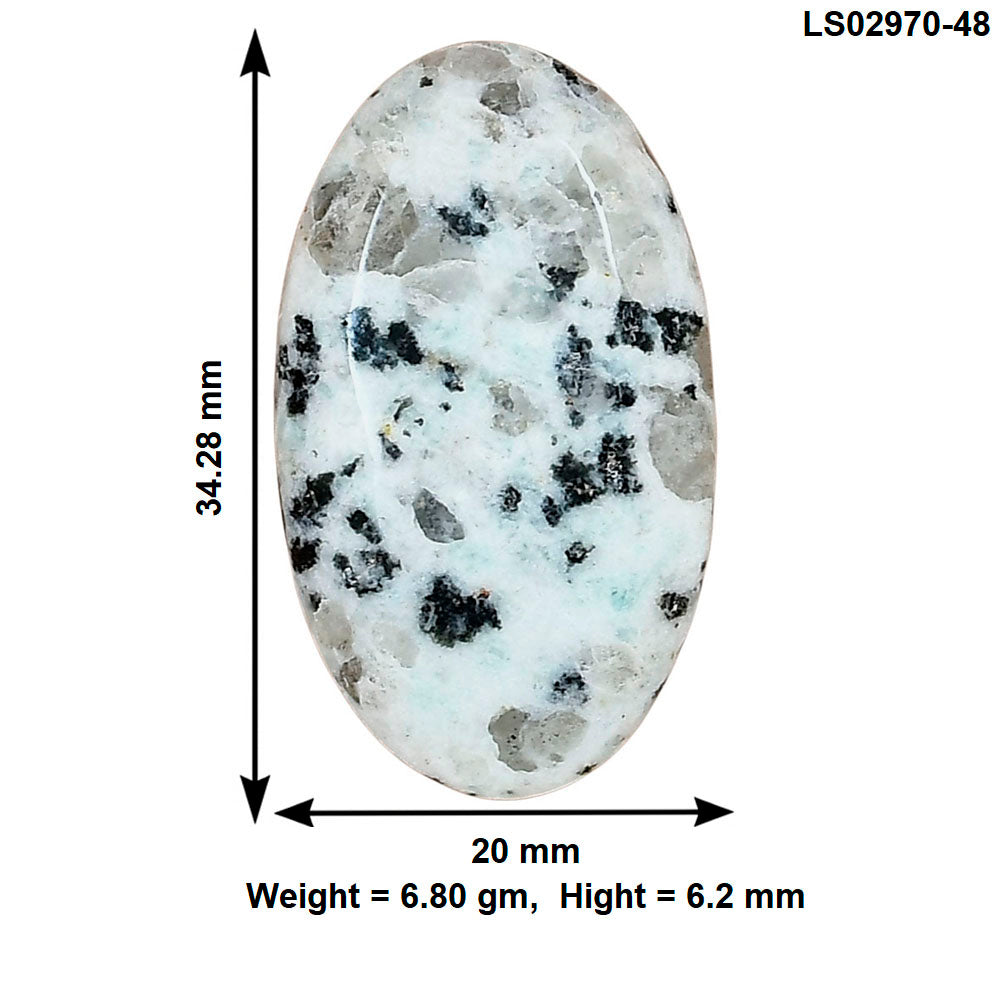 Sesame Jasper 34.28x20x6.2 mm Oval Gemstone LS02970-48