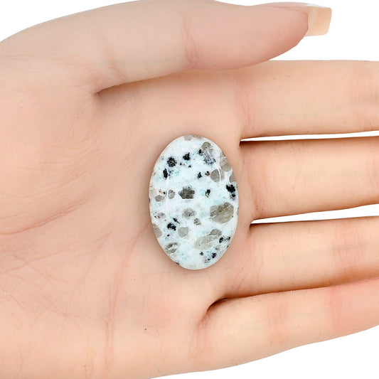 Sesame Jasper 31.75x21x6.5 mm Oval Gemstone LS02977-48