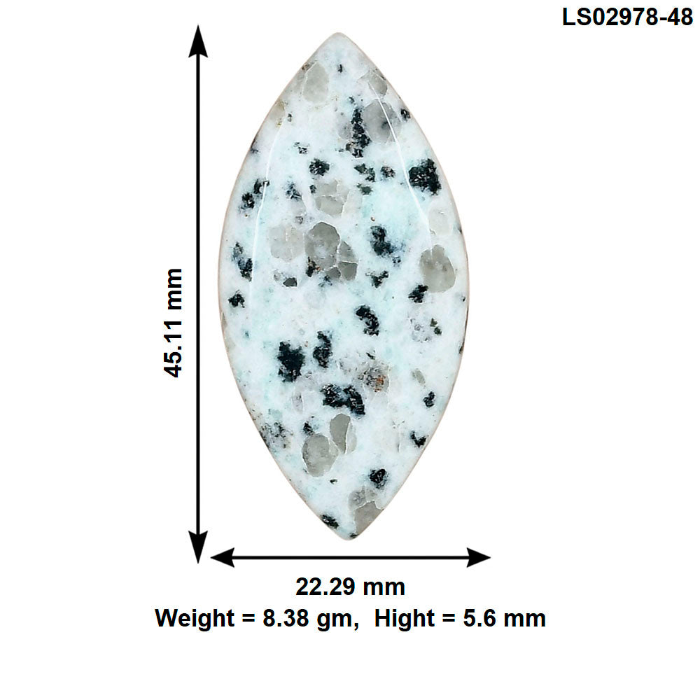 Sesame Jasper 45.11x22.29x5.6 mm Marquise Gemstone LS02978-48