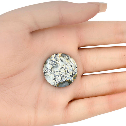 Maligano Jasper 24.66x24.66x4.6 mm Round Gemstone LS03211-53