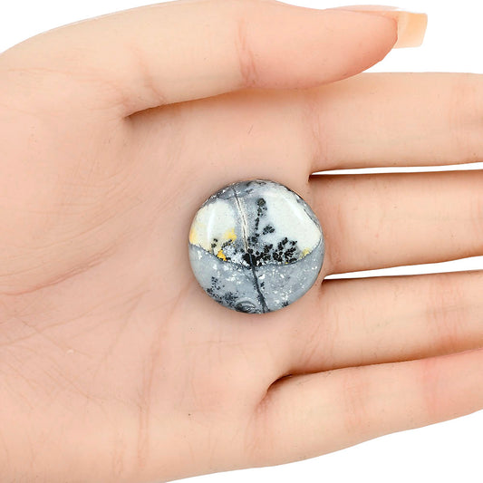 Maligano Jasper 25.36x25.36x7 mm Round Gemstone LS03216-53