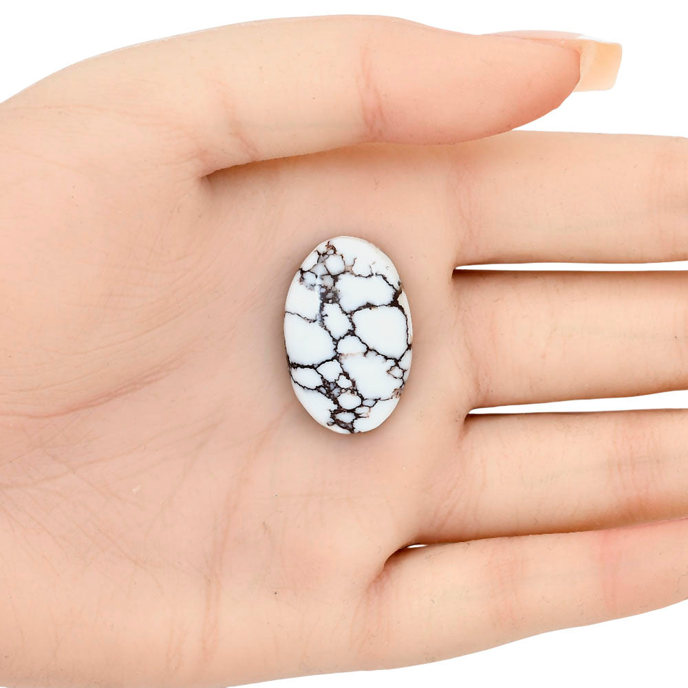 Wild Horse Jasper 26.85x17.3x5.9 mm Oval Gemstone LS03276-15